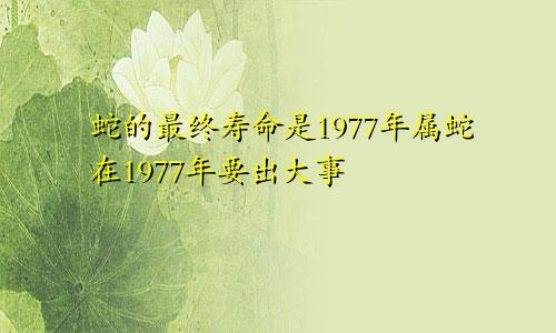 1977年属蛇的最终寿命 1977年属蛇要出大事