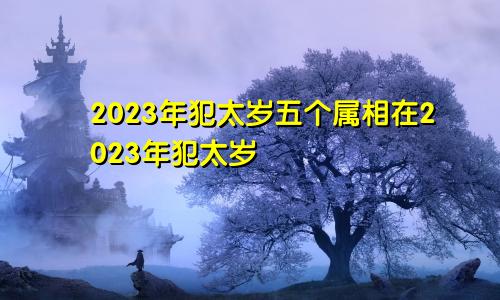 2023年犯太岁情况 2023年犯太岁的五个属相