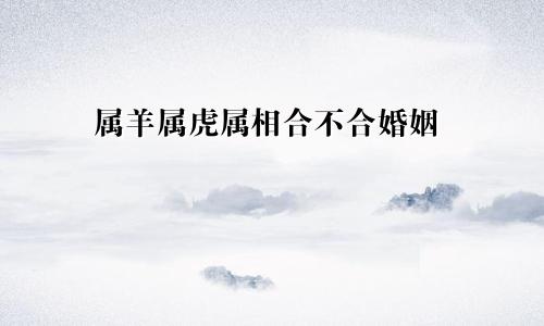 属羊的和属虎的属相合不合婚姻