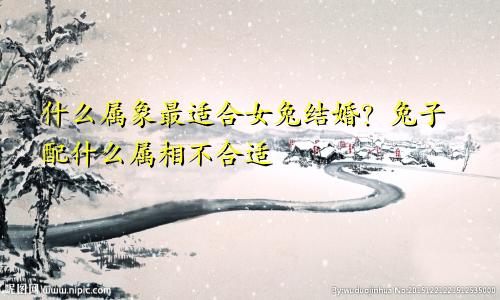 女兔婚配什么属象最好呢 女兔配什么属相不合适