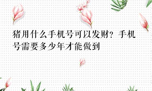 属猪的用什么手机号能发财 手机号要多少岁才能办