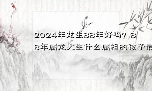 88年龙生2024年龙好吗 88年属龙人生什么属相的孩子最好
