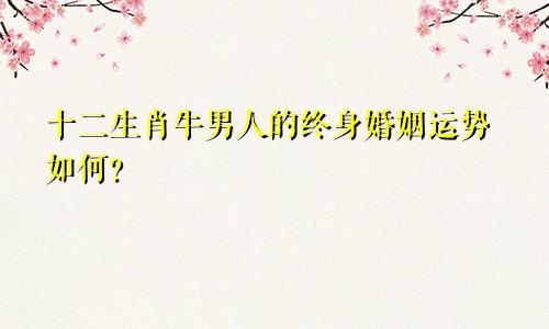 1973生肖牛男人的终生婚姻运势如何
