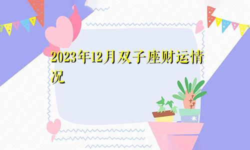 双子座2023年财运12月情况