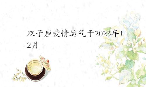 2023年12月双子座爱情运