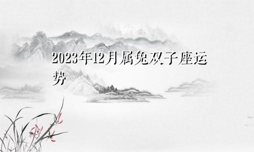 属兔双子座2023年12月运势