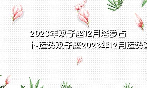 塔罗占卜2023年双子座12月运势,2023双子座12月运势查询