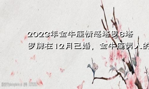 2023年金牛座情感塔罗6,12月已婚金牛男感情运势塔罗