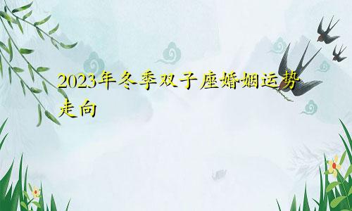 双子座2023年冬季婚姻运势走向