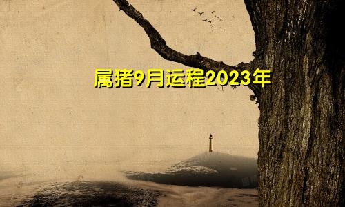 2023年属猪9月运程