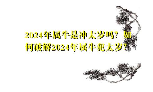 2024年属牛是冲太岁吗 2024年属牛犯太岁怎么破解