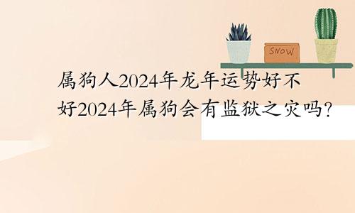 属狗人2024龙年运势好不好 2024年属狗会有牢狱之灾吗