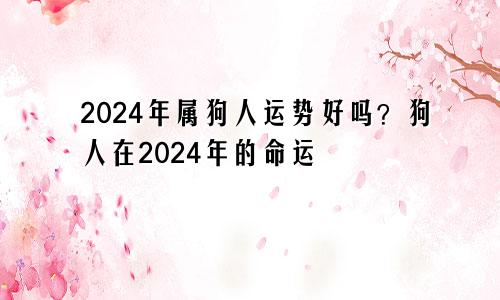 属狗人遇2024龙年运势好吗 2024年属狗人的命运