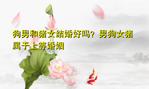 狗男和猪女配婚姻好不好？ 男狗女猪属于上等婚姻