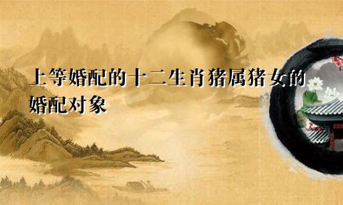 生肖猪的上上等婚配 属猪女的婚配对象
