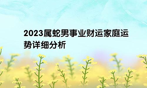 2023属蛇男事业财运家庭运势详情分析