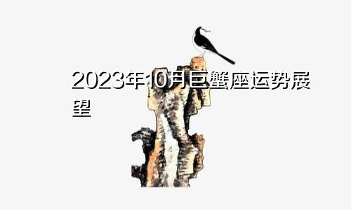 巨蟹座2023年10月运势展望