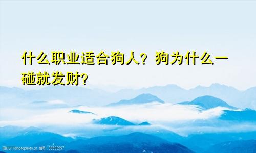 属狗人适合从事什么职业 属狗干什么一碰就发财？