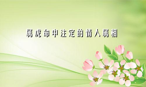 属虎命中注定的情人属相