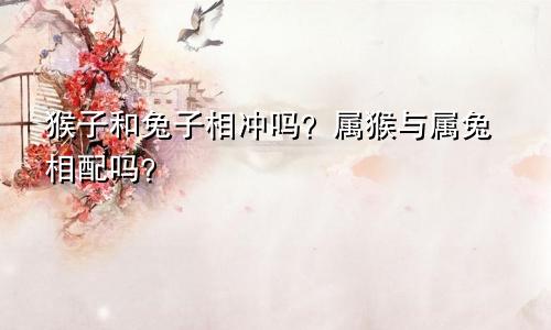 属猴子和属兔子相冲吗 属猴的跟属兔的相配吗合不合