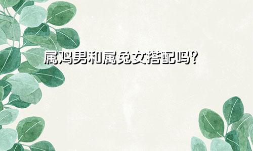 属鸡男人和属兔女人相配吗