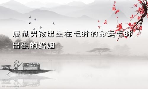 卯时出生的属鼠男孩命运 卯时出生的婚姻