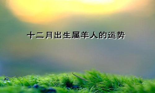 十二月出生属羊人的运势