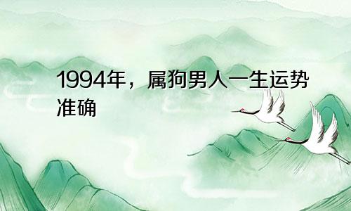94年属狗男人一生的运势精准