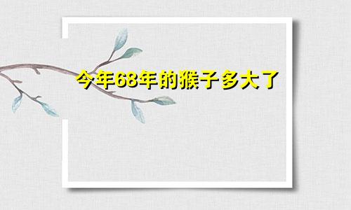 68年的猴今年多大了
