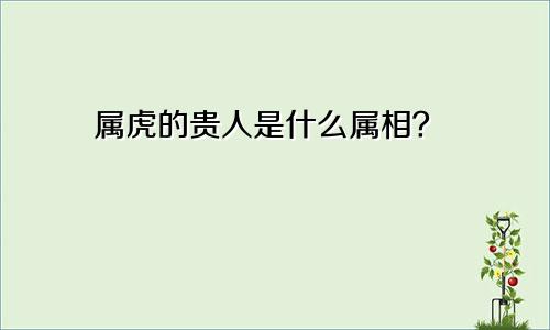 属虎的贵人是什么属相
