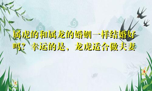 属虎的和属龙的婚姻般配结婚好吗 龙虎适合做夫妻运气好吗