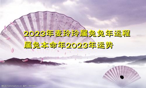 麦玲玲2023年属兔兔年运程 2023年属兔本命年运势
