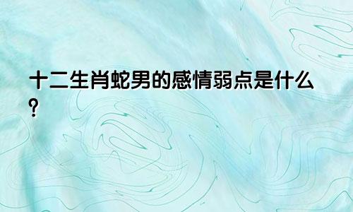 生肖蛇男人的感情弱点是什么