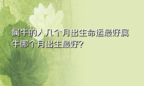 属牛的人几月出生最好命运 属牛哪个月份出生最好