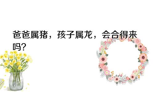 爸爸属猪孩子属龙好不好，会不会合得来