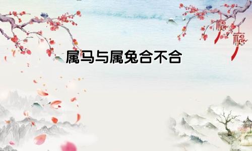 属马和属兔合不合