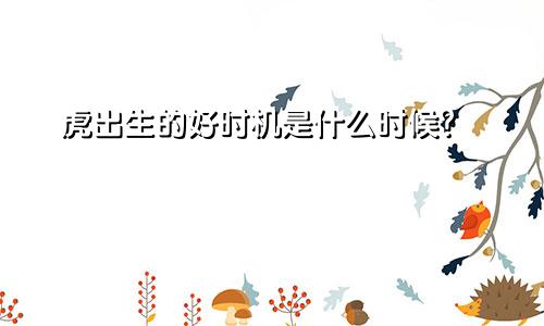 属虎的几点出生好时辰