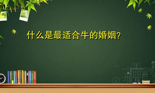 属牛的和什么最配婚姻