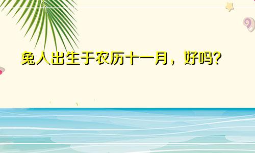 农历11月出生属兔人命好吗