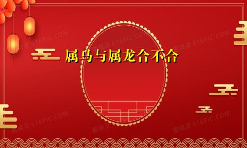 属马和属龙合不合