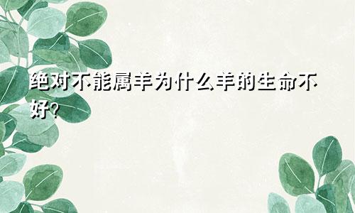 属羊的绝对不行 为什么属羊的命不好