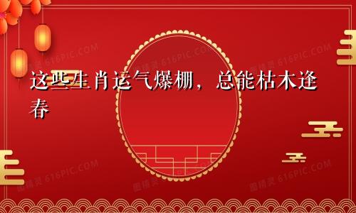 这些生肖运气爆棚总能枯木逢春