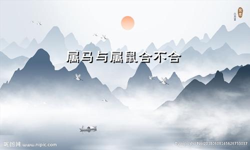 属马和属鼠合不合