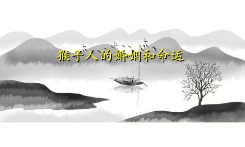 属猴的人婚姻与命运