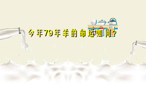 79年的羊今年命运如何