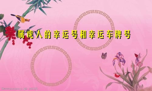 属虎人的幸运数字及幸运车牌号码