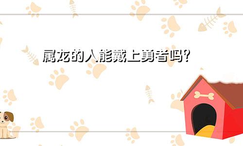 属龙的可以佩戴貔貅吗