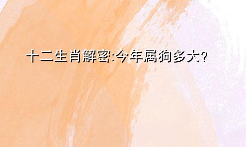 生肖解密：属狗的今年多大？