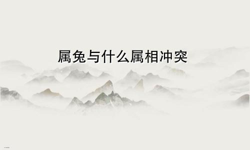 属兔和什么属相相冲