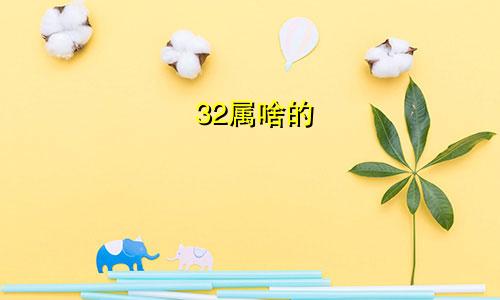 32属啥的